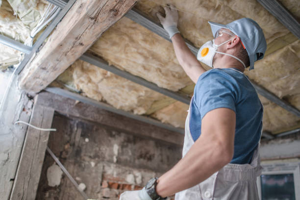 Best Insulation Maintenance and Repair in Prospect Rk, PA